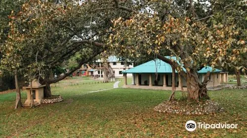 cost for food when travelling to Nainital