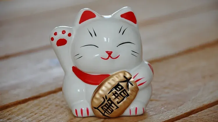 Detailed Info about Best Souvenirs from Japan
