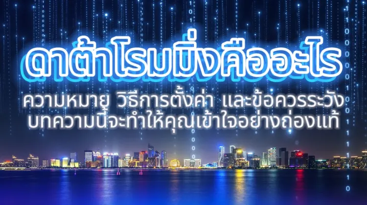 ดาต้าโรมมิ่ง