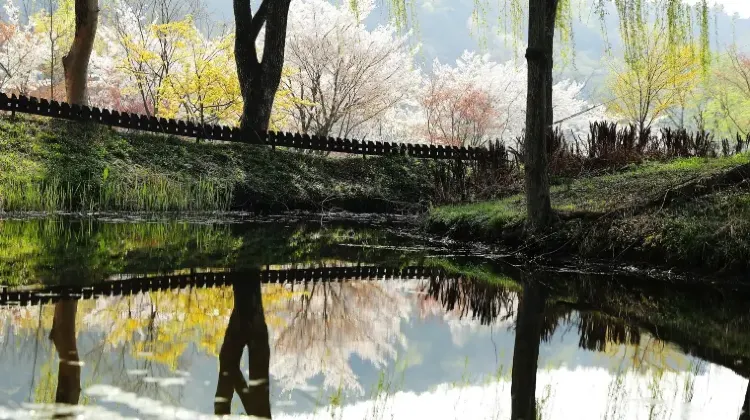 高速バスでソウルから江原道へ！運賃・運行スケジュール