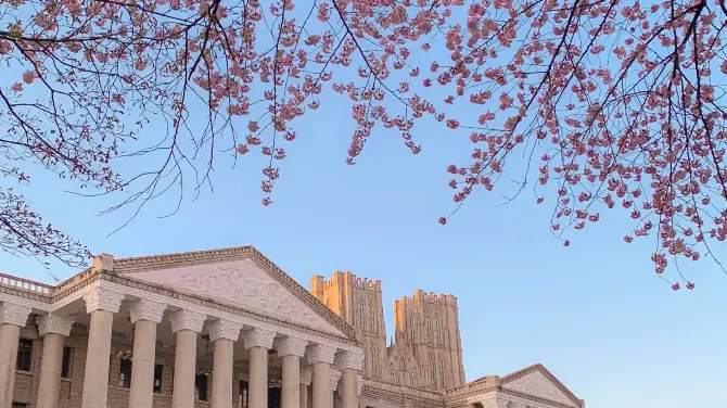 慶熙大學