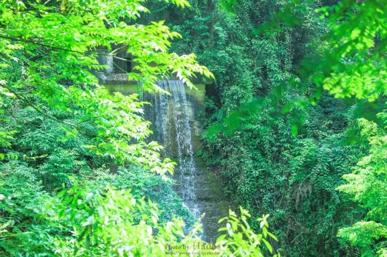 四川氣溫 - 青城山