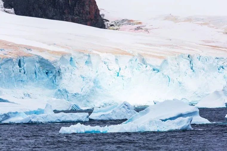 [2025] Trip to Antarctica Cost How to Make the Most of Your Budget