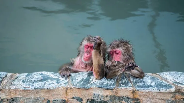 函館市熱帯植物園