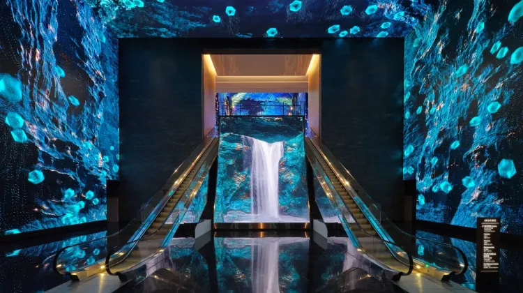 ホテル基本情報