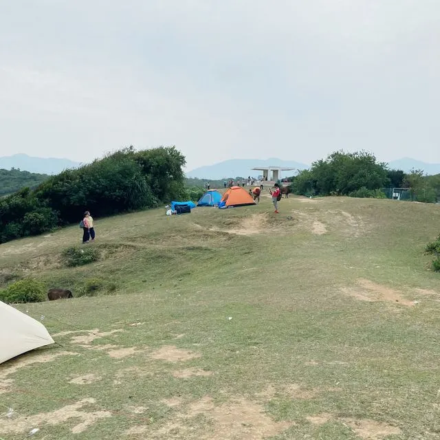 草地與露營帳幕