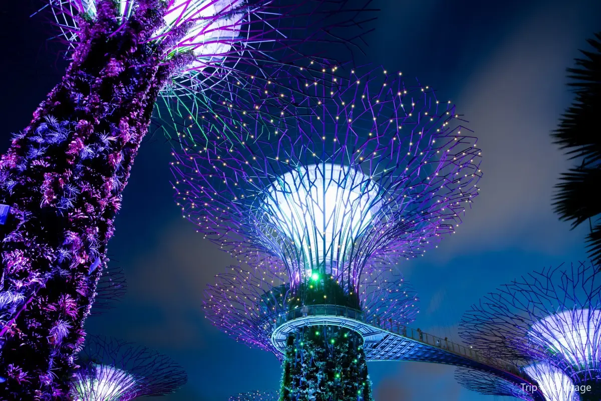 Gardens by the Bay