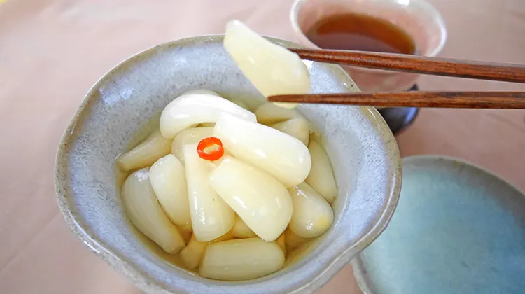 砂丘らっきょう