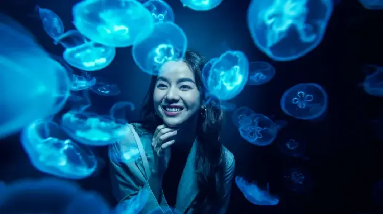 S.E.A. Aquarium | Things to do in Singapore