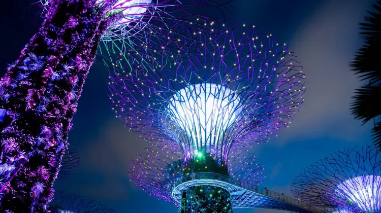 Things to do at Gardens by the Bay