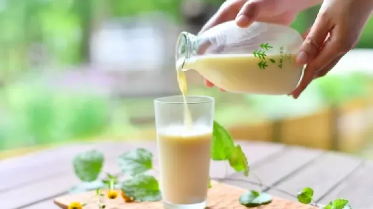 森林ノ牧場 森林ノ牛乳