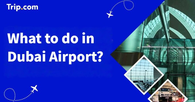 What to Do in Dubai Airport: A Layover Guide