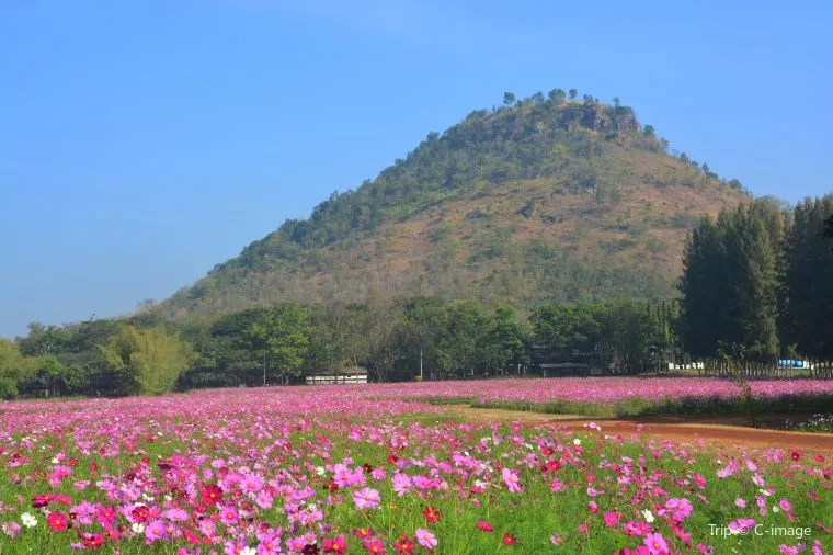 福岡景點 - 海之中道海濱公園