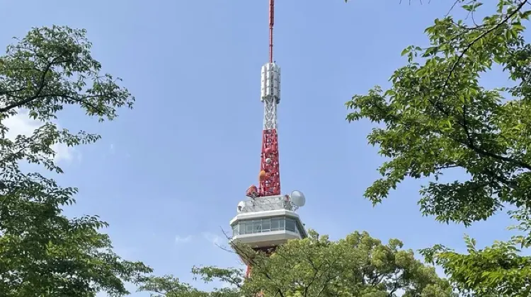 宇都宮のお土産選びでよくある質問