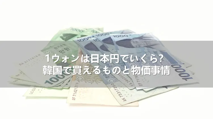 1ウォンは日本円でいくら?韓国で買えるものと物価事情