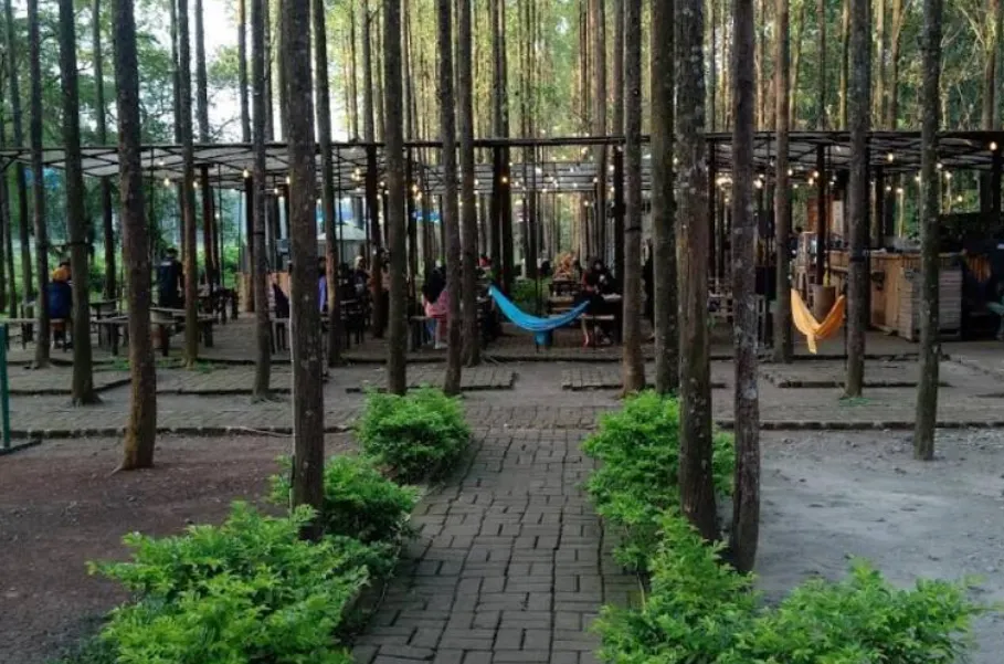 Wisata Karawang-Hutan Kertas