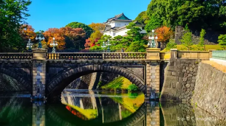 Top 20 Best Things to Do in Tokyo