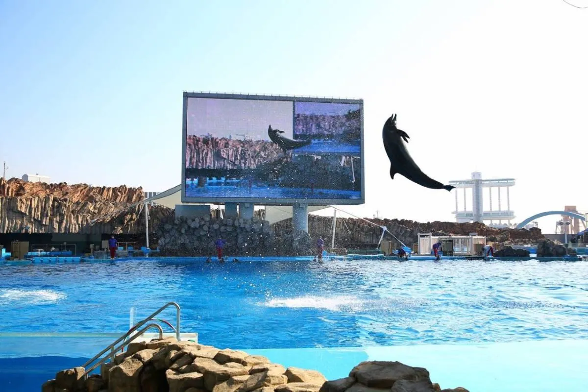 Harga Tiket Akuarium Pelabuhan Nagoya-Trip.com