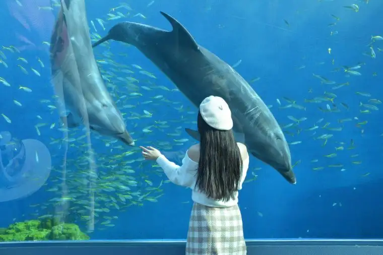22 横浜 八景島シーパラダイスにお得に行こう 割引チケットをゲットするには Trip Comブログ
