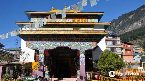 cost for food when traveling to Manali