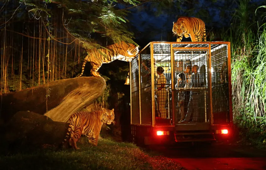 Apa itu Taman Safari Bali?