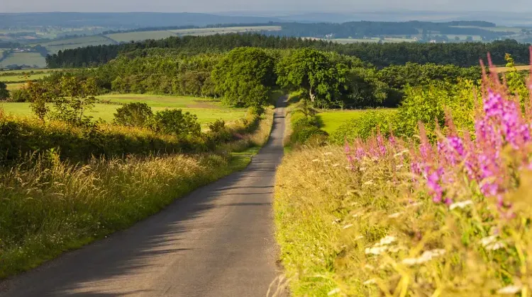 ケニア現在の治安は危険レベル1～4