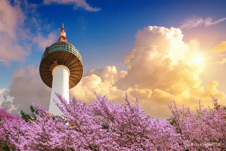 Popular attraction near Cheongnyangni Station