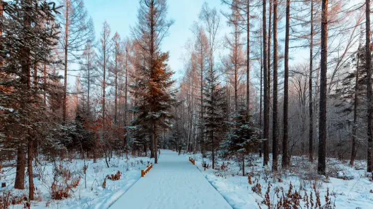 フィンランド旅行で心温まるお土産を見つけよう！
