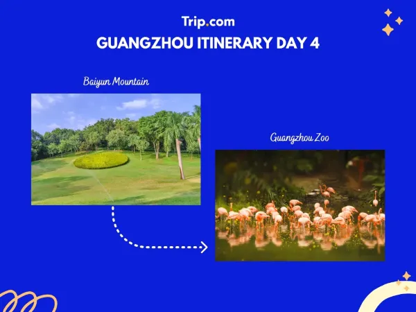 Guangzhou Itinerary Day 4