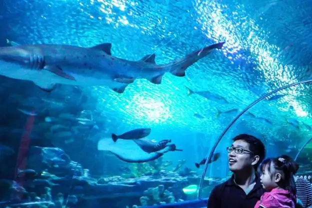 Underwater tunnel in Aquaria KLCC