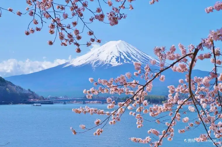 Mount Fuji 