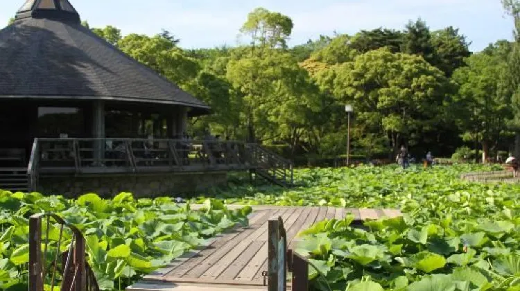 ひとり旅で千葉に行ったらやりたい5つのこと