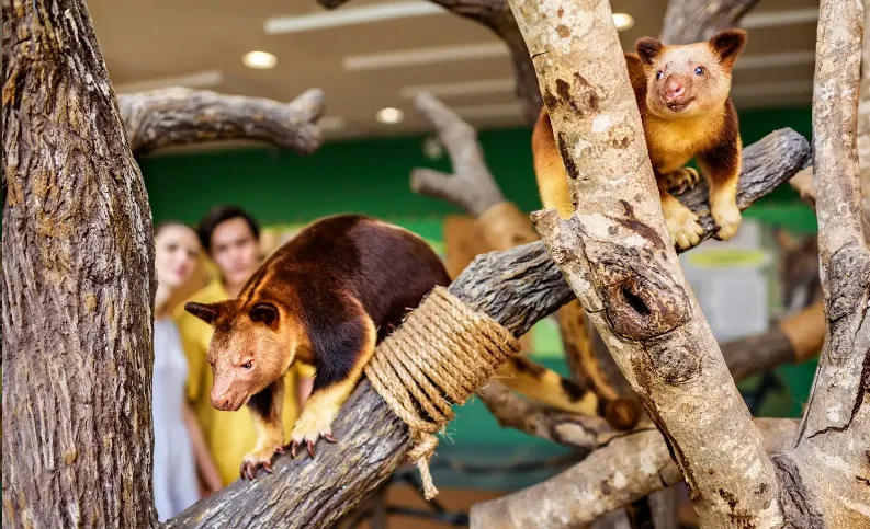 Singapore Packing Guide: What to Wear Year-Round