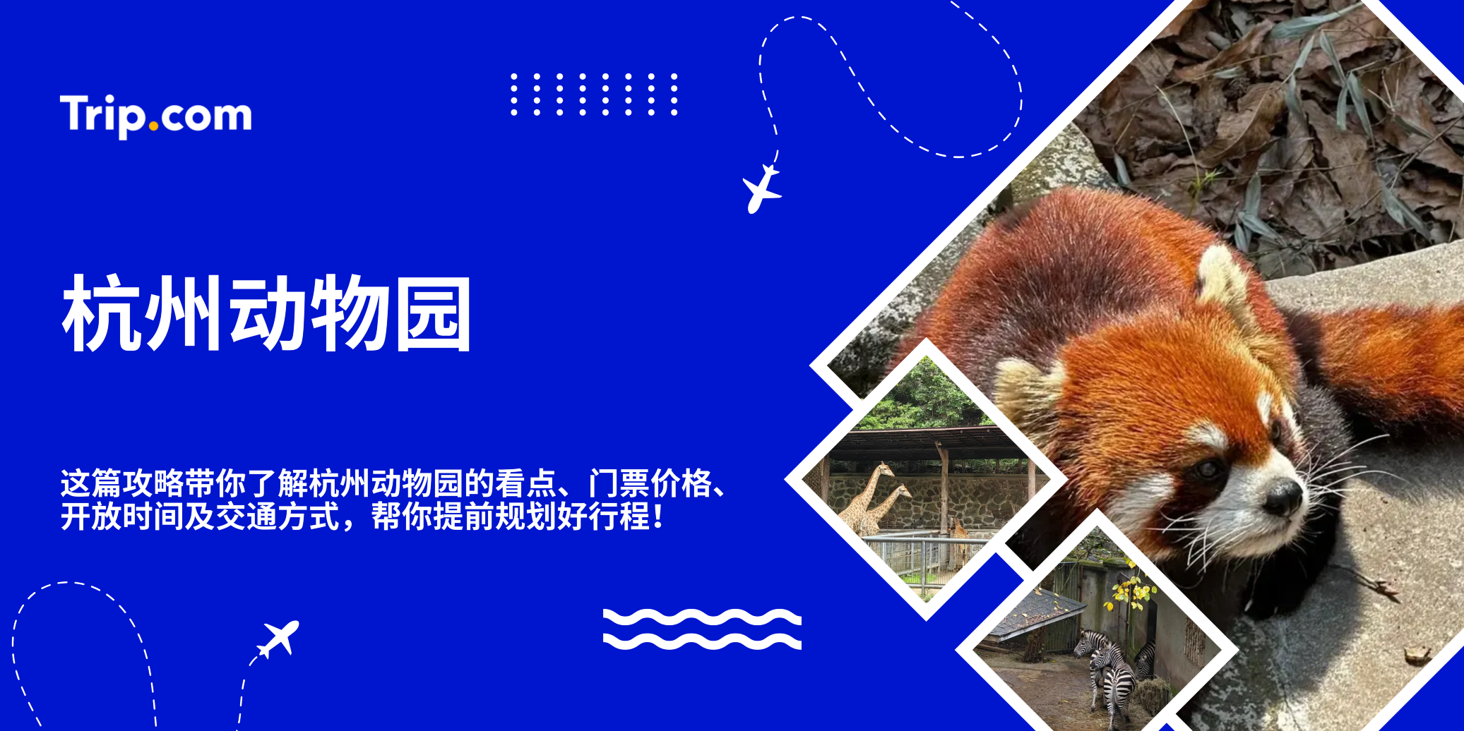 杭州动物园 | 门票价格、开放时间、交通与必看动物！