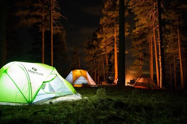zwei Zelte im Wald
