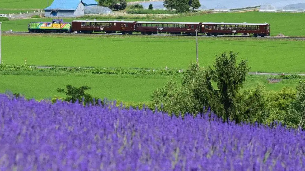京都景點－嵐山