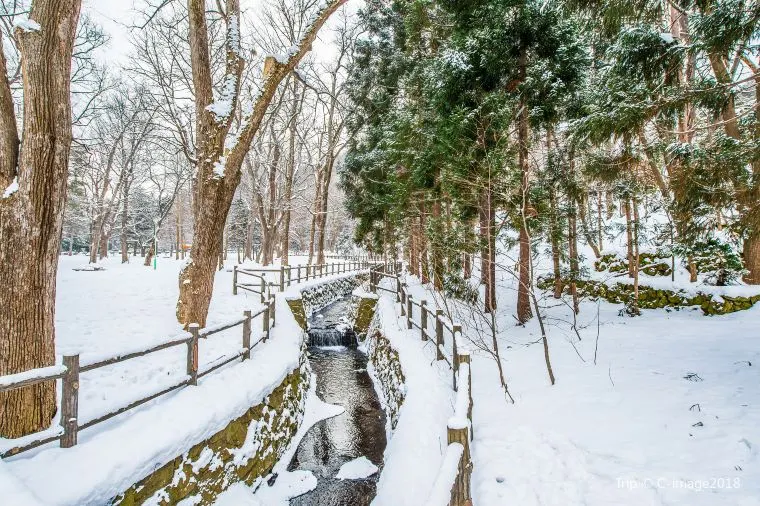 Winter Wanderlust Roaming Weather in Japan in December 2025