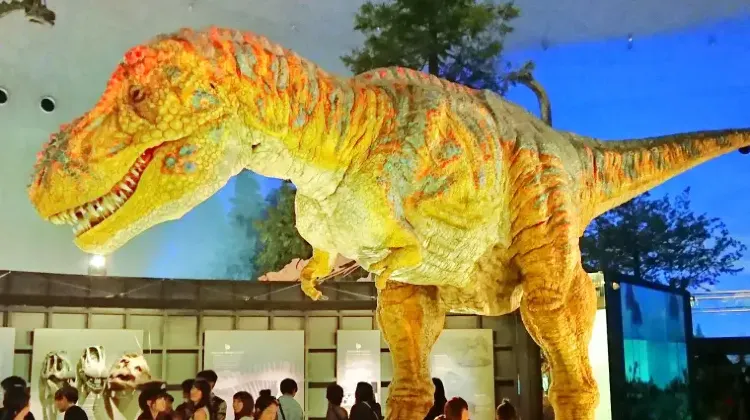 福井県立恐竜博物館