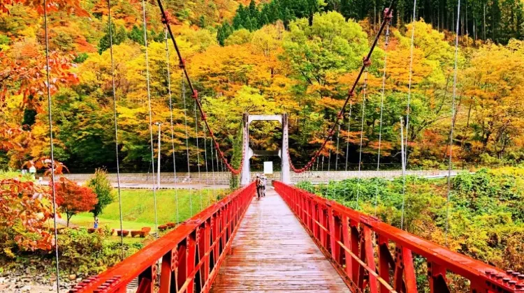 秋田のお土産選びでよくある質問