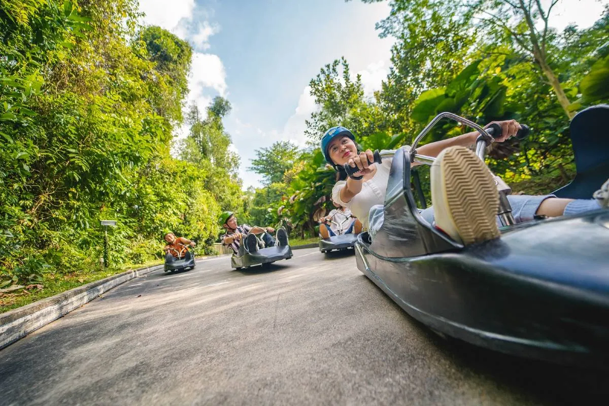 Skyline Luge attractions