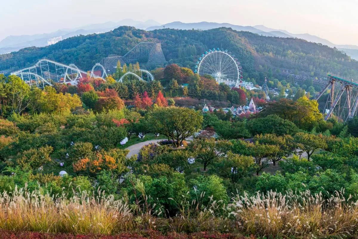 Things to do at Everland: Stroll at scenic gardens