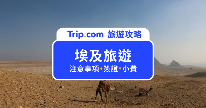 【2026 埃及旅遊注意事項】台灣人怎麼申請埃及簽證？eVisa & 落地簽教學、行前準備攻略 | Trip.com