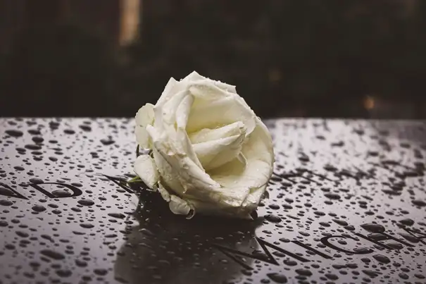 Eine Rose auf einem Grabstein