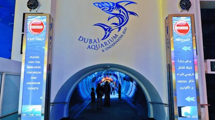 ドバイ水族館 & 水生生物園