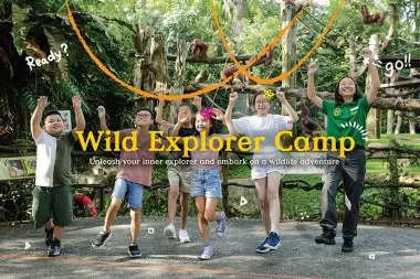 Kem Penjelajah Liar