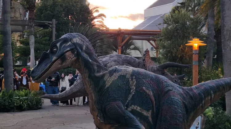 Universal Studios Japan Attractions