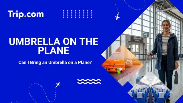 Umbrella on Plane: All You Need to Know Before You Fly | Trip.com
