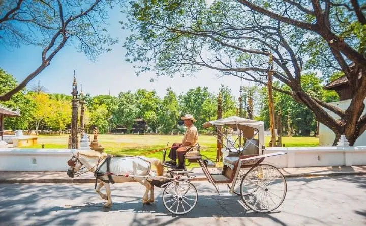 タイの治安に関するよくある質問