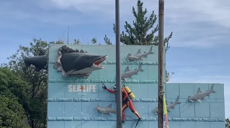 シーライフ釜山アクアリウムのチケット料金