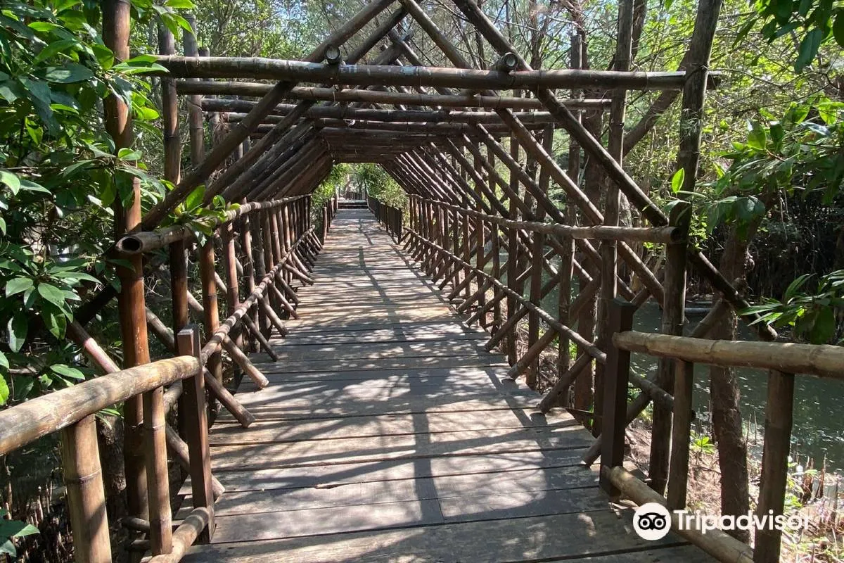 Tempat Wisata di Surabaya-Ekowisata Mangrove Wonorejo